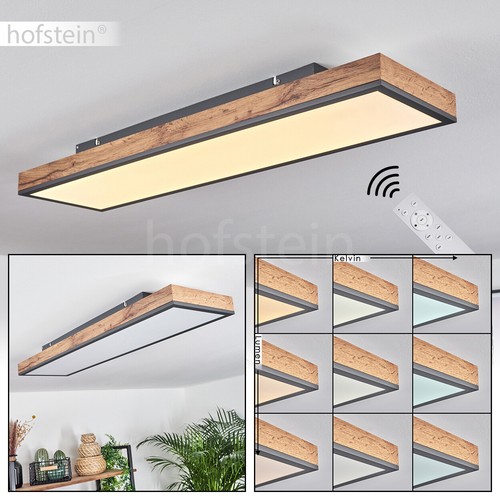 Dimmbare decken lampe led ess - decken,